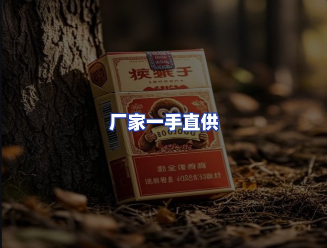 专业团队